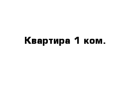 Квартира 1 ком.